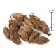 Черен кардамон (кардамом) Amomum subulatum 20 гр.